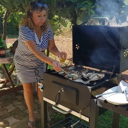 Clara 2 * Poreč