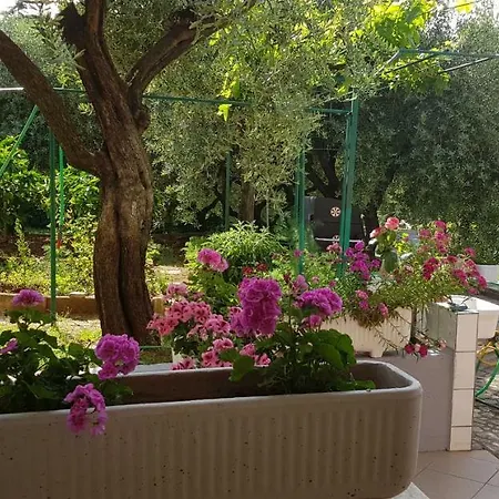 Clara 2